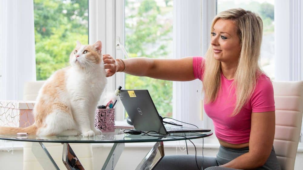 Woman at her desk, strokes a cat sat on that, while she works at home