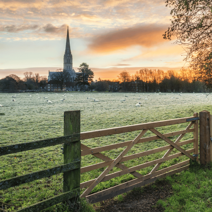 A frosty field on a winter morning as the sun rises with Salisbury cathedral in the distance
